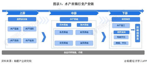 2024年水產(chǎn)養(yǎng)殖行業(yè)產(chǎn)業(yè)鏈全景梳理及區(qū)域熱力地圖