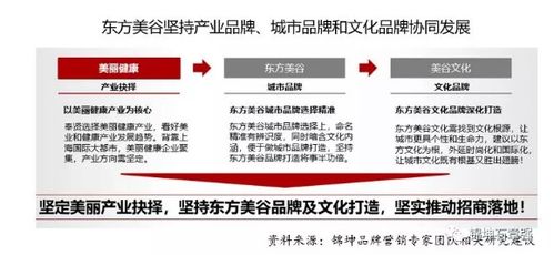 錦坤 連鎖與互聯網品牌營銷專家