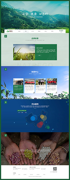 集團網站建設|高端網站建設|浙江集團網站建設|集團企業網站建設|百強網站建設【BOC博采網絡】