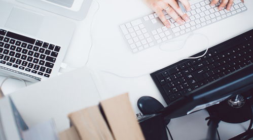 駁回破產申請上訴狀怎么寫