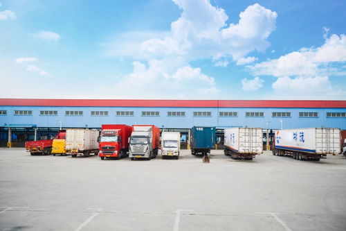 霸道運管所長 你沒跑過這條路啊 不懂上路規(guī)矩嗎