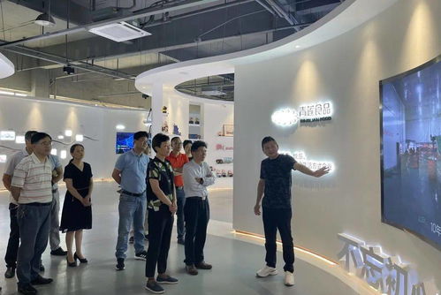 海鹽人大調(diào)研數(shù)字化改革工作