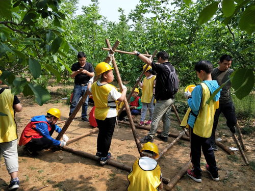 工匠精神之木屋建造者丨浙江龍游五天四夜研學行