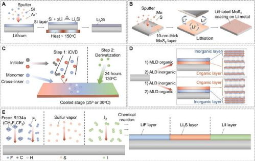 浙江工業大學佴建威 陶新永 香港城市大學樓雄文science子刊 實現穩定的鋰金屬陽極的表面工程