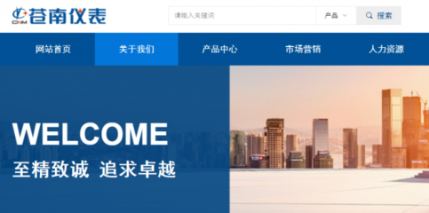 浙江蒼南儀表集團股份與我司做網(wǎng)站推廣項目