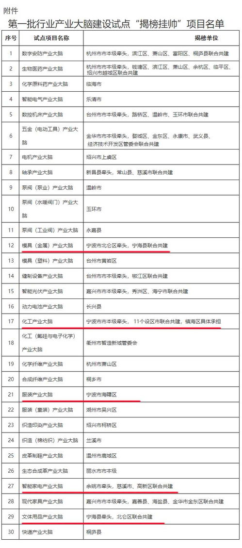 浙江首批行業(yè)產(chǎn)業(yè)大腦試點建設(shè)名單公布 5個大腦由寧波牽頭