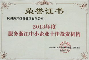 2013年度服務(wù)浙江中小企業(yè)十佳投資機構(gòu)
