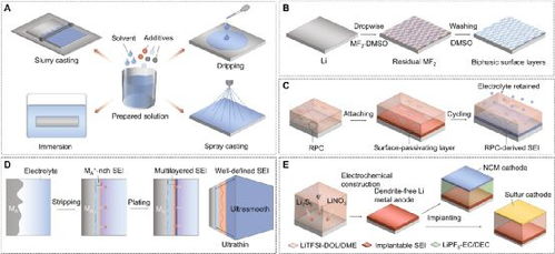 浙江工業大學佴建威 陶新永 香港城市大學樓雄文science子刊 實現穩定的鋰金屬陽極的表面工程