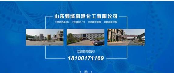 化工企業(yè)網(wǎng)站建設(shè)佳作賞析 山東鄄城與浙江企業(yè)的可視化建站實(shí)踐